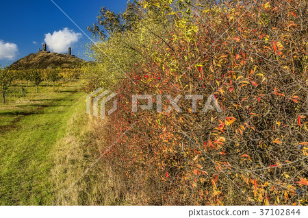 Castle Hazmburk in autumn 37102844