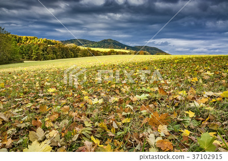 Autumn landscape Autumn landscape 37102915