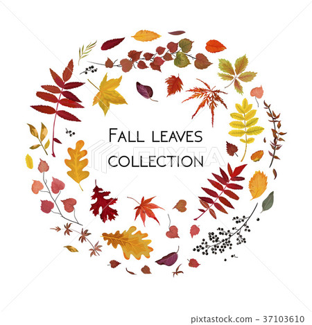 Vector floral card design with Autumn leaf wreath - Stock Illustration ...