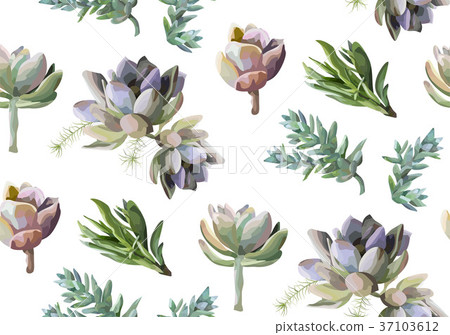 Seamless floral pattern: Succulent cactus plant  37103612