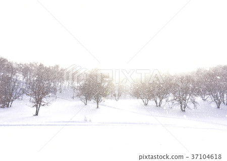 Parade meadow, Inner Mongolia, China Parade meadow, Inner Mongolia, China 37104618