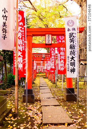 Torikoi of Onikomokami 37104646