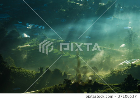 rays of the sun breaking through the fog  37106537