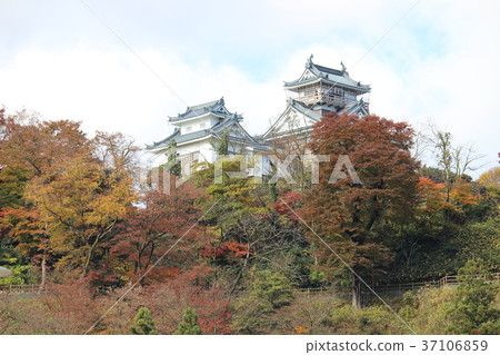 Echizen Ono Castle 37106859