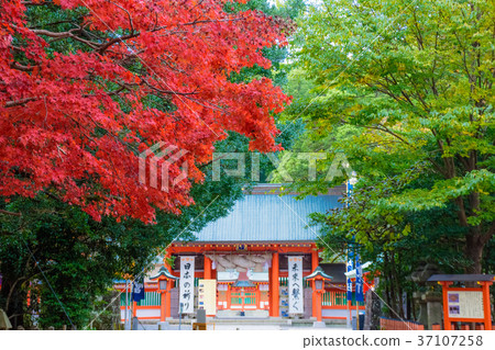 Kumano Hayatake Taisha Kumano Hayatake Taisha 37107258