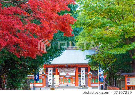 Kumano Hayatake Taisha Kumano Hayatake Taisha 37107259
