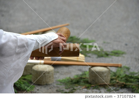 Crossing the floor 37107824