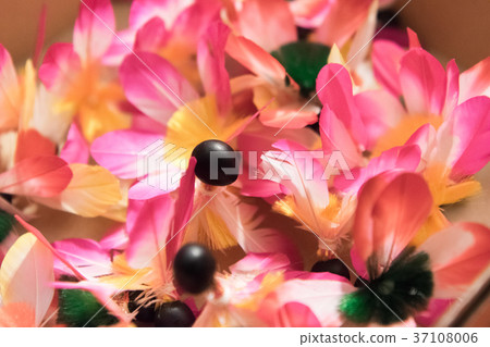 Feathers feathers Feathers feathers 37108006