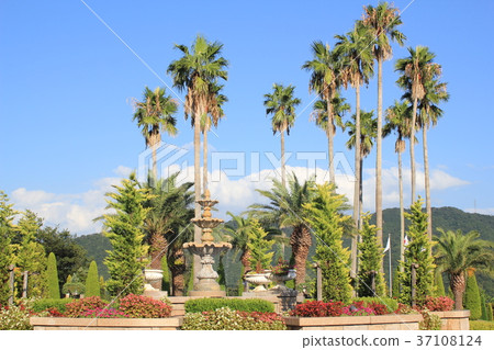 度假酒店前面 度假酒店前面 37108124