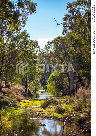 Outback at Dubbo New South Wales Australia Outback at Dubbo New South Wales Australia 37108228