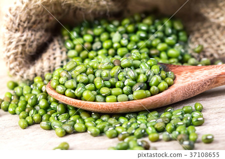 圖庫照片: close up green mung beans in wooden spoon