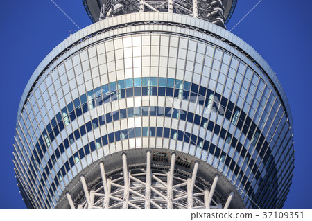Blue sky and Tokyo Sky Tree observation deck up Blue sky and Tokyo Sky Tree observation deck up 37109351