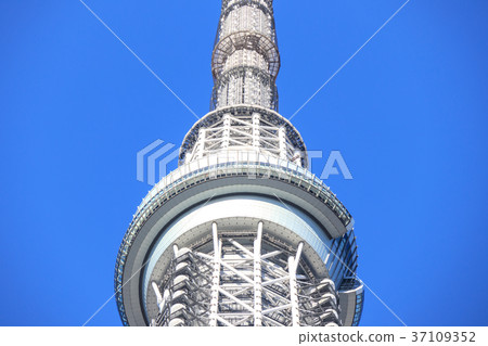 藍天和東京天空樹觀察台 37109352