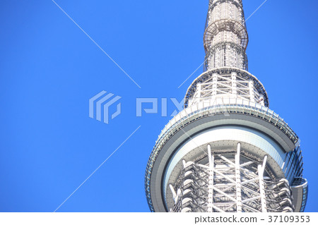 藍天和東京天空樹觀察台 藍天和東京天空樹觀察台 37109353