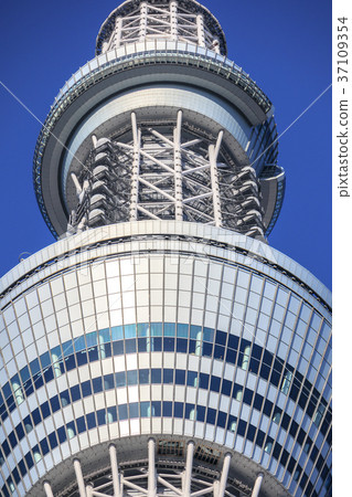藍天和東京天空樹觀察台 藍天和東京天空樹觀察台 37109354