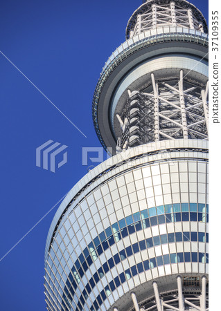 藍天和東京天空樹觀察台 37109355