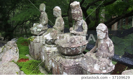 Kochitani Amida Temple Nature Zen Buddha image Kochitani Amida Temple Nature Zen Buddha image 37109629