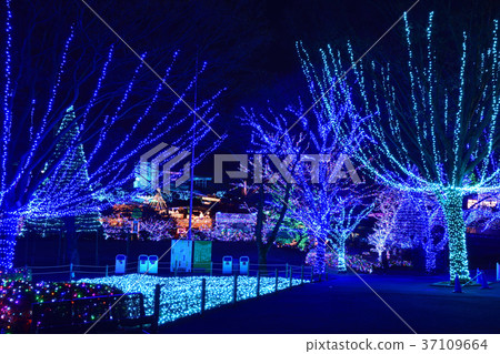 Illumination night view Illumination night view 37109664