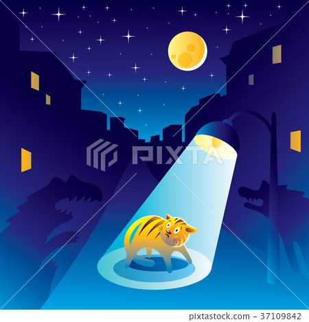 Frightened kitten at the night of the city 37109842