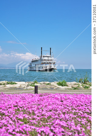 在琵琶湖的一個遊船在春天 37110081
