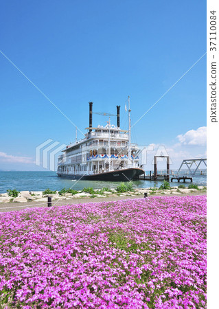 在琵琶湖的一個遊船在春天 37110084