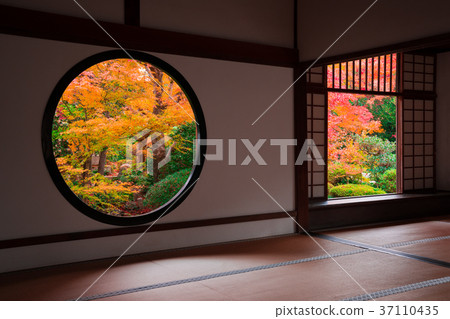 京都Genko祗園的秋葉啟蒙之窗和失落的窗戶 京都Genko祗園的秋葉啟蒙之窗和失落的窗戶 37110435