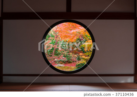 京都Genkoen色的葉子的窗口 京都Genkoen色的葉子的窗口 37110436