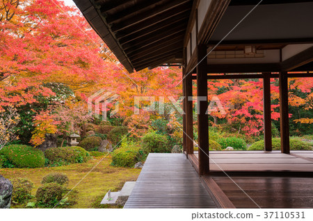 京都Genkoan秋葉 37110531