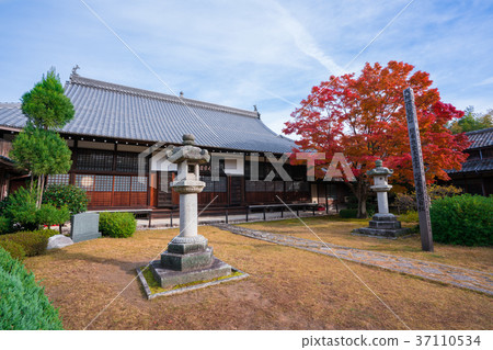 Autumn leaves of Kyoto Genkoan 37110534
