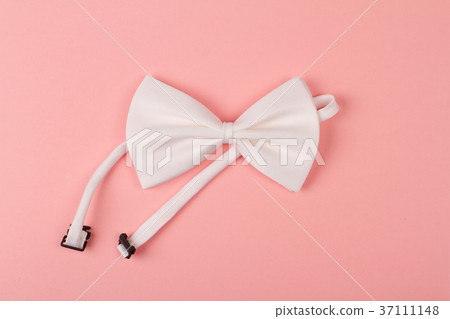 white bow tie on pink background 37111148