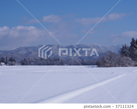秋田縣Senboku市冬天Snowscape藍天 秋田縣Senboku市冬天Snowscape藍天 37111324