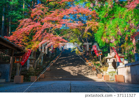 Autumn leaves in Kyoto Autumn leaves in Kyoto 37111327