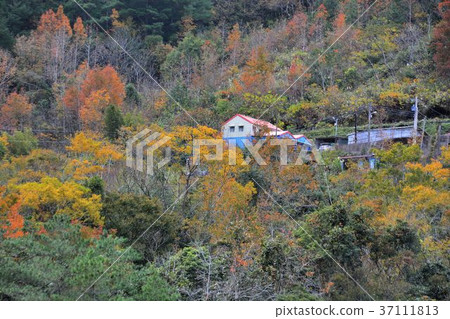 山上風景-新竹尖石秀巒 37111813