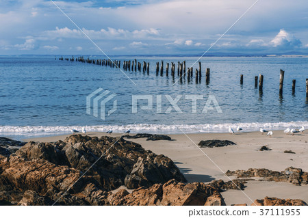 Beautiful beach at Bridport, Tasmania, Australia. 37111955