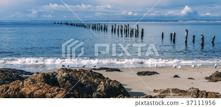 Beautiful beach at Bridport, Tasmania, Australia. 37111956