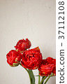 A bouquet of red tulips 37112108