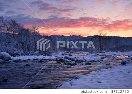 早上白馬松川 37112720