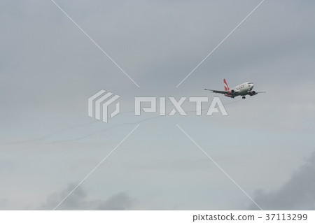 HS-AAN  Boeing 737-300 of Thaiairasia. 37113299