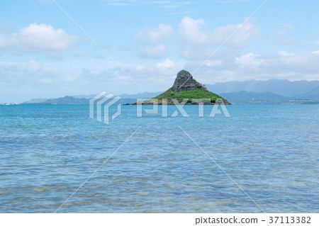 china mens hat in hawaii