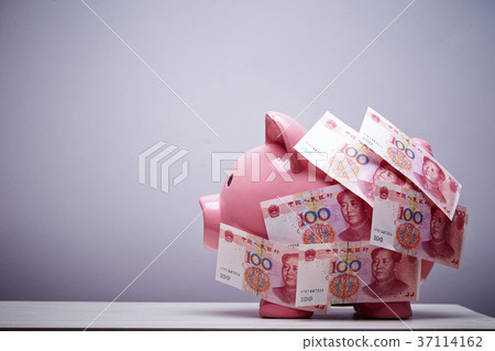 Pig Piggy Bank and RMB Banknote Pig Piggy Bank and RMB Banknote 37114162