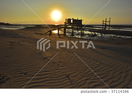 Taiwan, Xujinggang Wetland, Taoyuan City, Grand Park, Xujing Port, sunset, sunset, dusk, beach, coast, seaside, beach 37114166