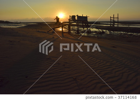 臺灣,許厝港濕地,桃園市,大園區,許厝港,日落,夕陽,黃昏,海灘,海岸,海邊,沙灘 37114168