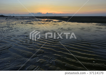 臺灣,許厝港濕地,桃園市,大園區,許厝港,日落,夕陽,黃昏,海灘,海岸,海邊,沙灘 37114170