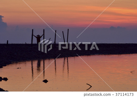 臺灣,許厝港濕地,桃園市,大園區,許厝港,日落,夕陽,黃昏,海灘,海岸,海邊,沙灘 臺灣,許厝港濕地,桃園市,大園區,許厝港,日落,夕陽,黃昏,海灘,海岸,海邊,沙灘 37114173