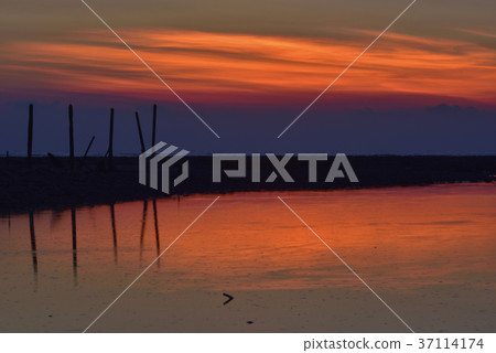 臺灣,許厝港濕地,桃園市,大園區,許厝港,日落,夕陽,黃昏,海灘,海岸,海邊,沙灘 37114174