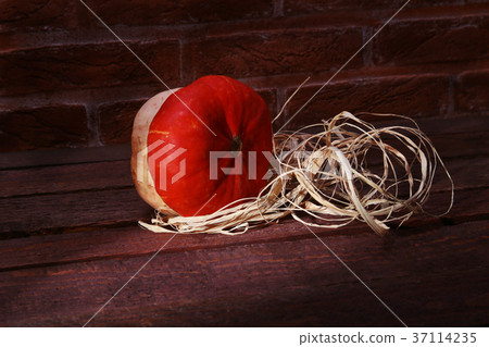 Autumn pumpkin background of thanksgiving 37114235