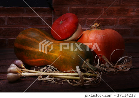 Autumn pumpkin background of thanksgiving 37114238