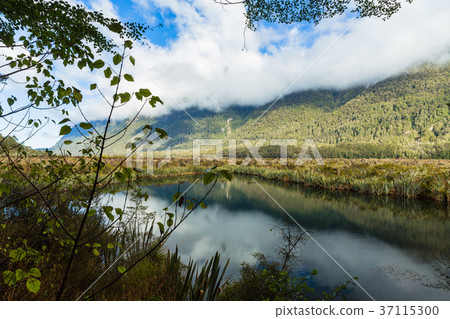 新西蘭峽灣國家公園鏡湖 37115300