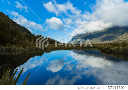 新西蘭峽灣國家公園鏡湖 37115301