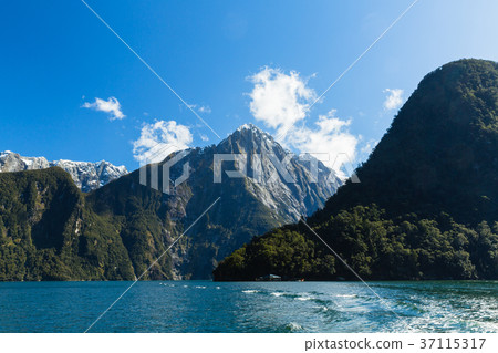 新西蘭峽灣國家公園Milford Sound Mitre Peak 37115317